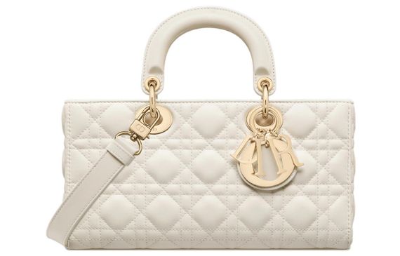 DIOR Lady D-JOY
