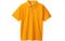 Champion Logo polo