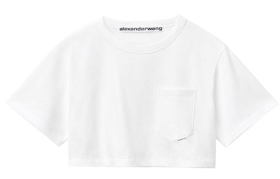 Alexander wang T