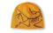 Arcteryx Logo Edziza/Relic