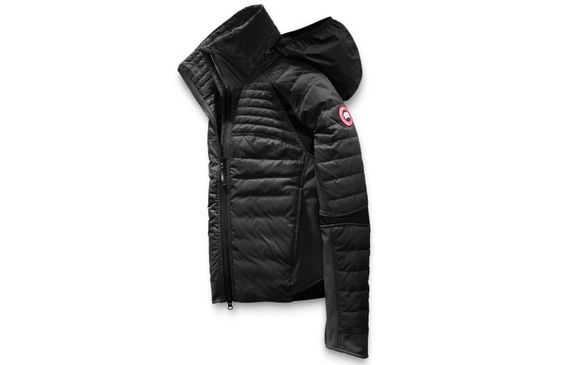 Canada Goose