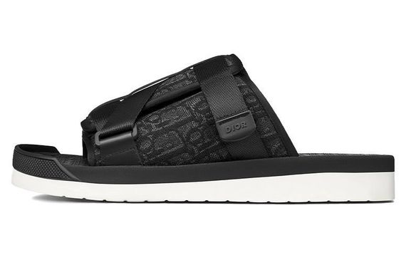 DIOR Alpha