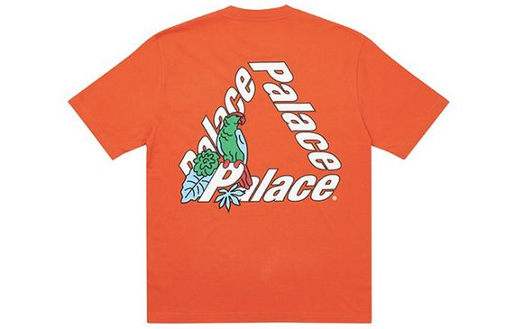 PALACE Parrot PALACE-3 T