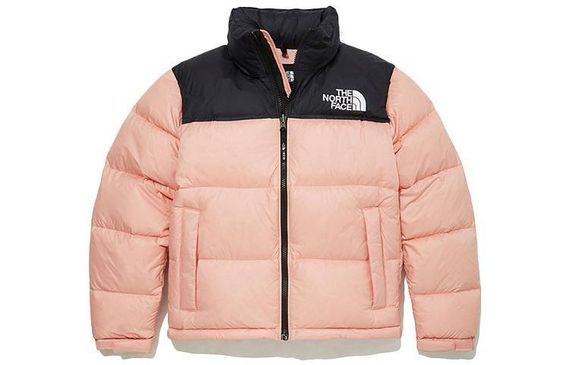THE NORTH FACE 1996 Eco Nuptse Logo