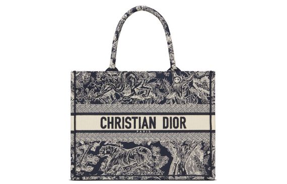 DIOR BookTote Tote