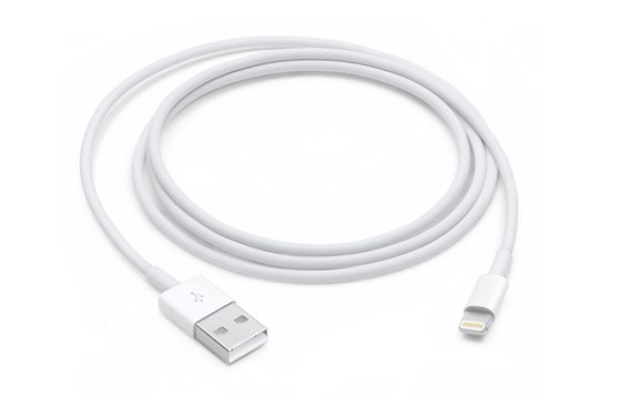 Apple Lightning USB