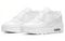 Nike Air Max 90 LTR