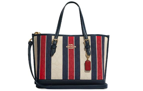 COACH Mollie 25 Tote