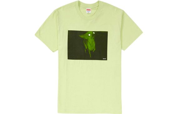 Supreme FW18 Chris Cunningham Chihuahua Tee Pale Mint T