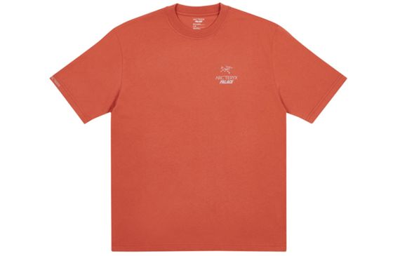 Arcteryx x PALACE PLACE ARC'TERYX Logo T