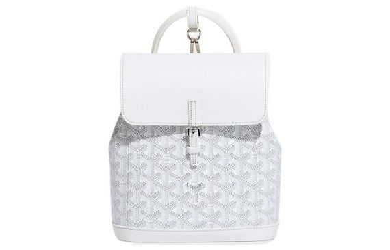 GOYARD Alpin