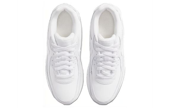 Nike Air Max 90 LTR