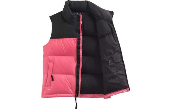 THE NORTH FACE 1996 Logo