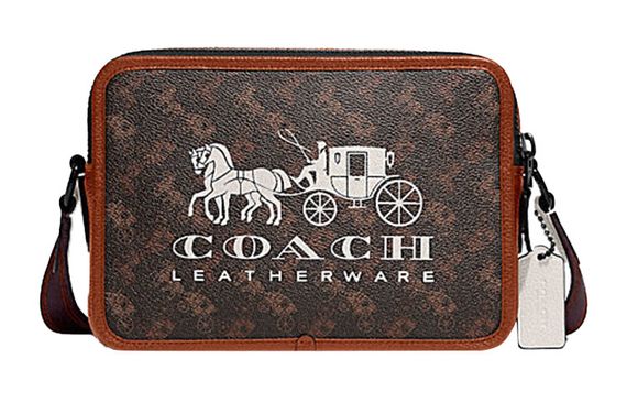COACH Charter 24 Logo