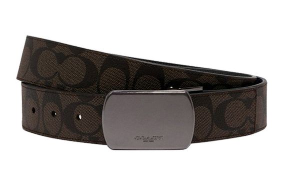 COACH 3.8cm
