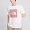 THE NORTH FACE FlashDry Box Logo T