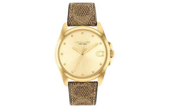 COACH GREYSON 36mm 14504111