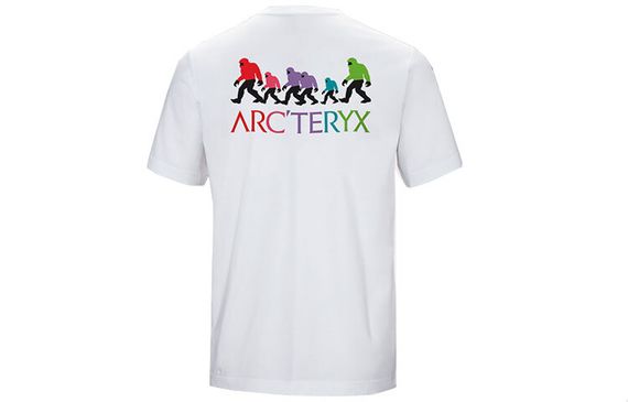 Arcteryx x Bigfoot SV Polychrome T