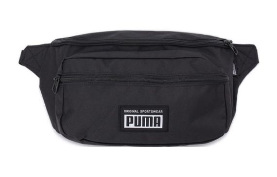 PUMA Academy Logo