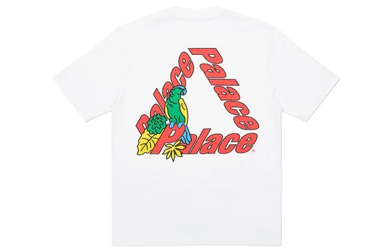 PALACE Parrot PALACE-3 T