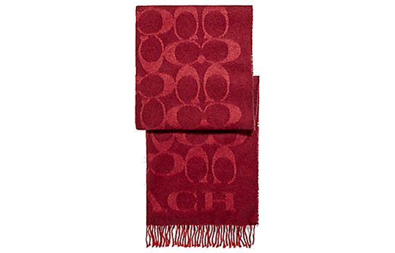 COACH Signature C
