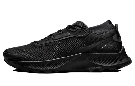 Nike Pegasus Trail 3 gore-tex &quot;black&quot;