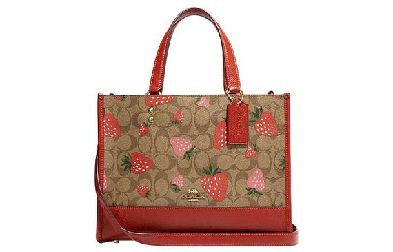 COACH Dempsey 29