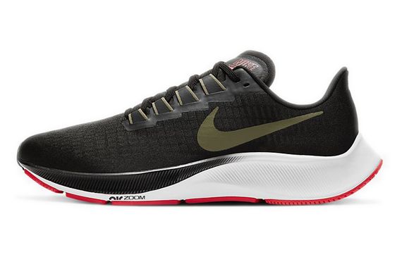 Nike Pegasus 37