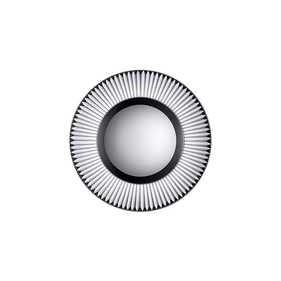 Dyson WP01