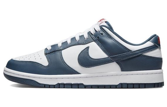 Nike Dunk Retro &quot;Valerian Blue&quot;