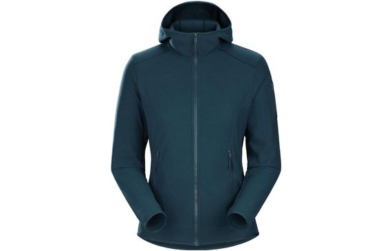 Arcteryx Delta Lt Hoody