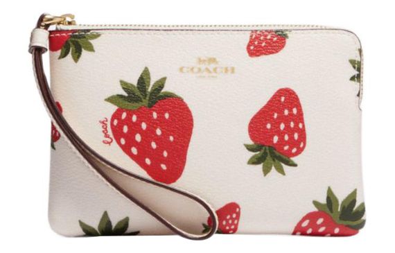 COACH Corner Zip 16