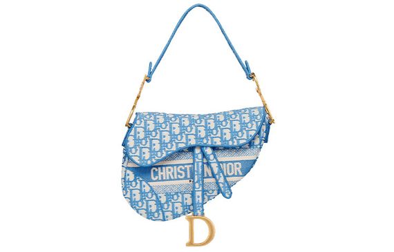 DIOR Saddle