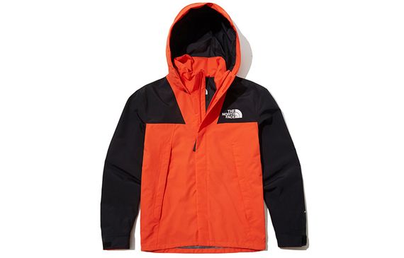 THE NORTH FACE