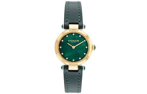 COACH CARY 14503951
