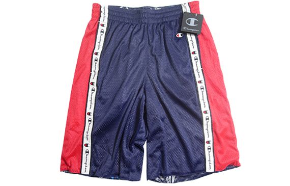 Champion mesh
