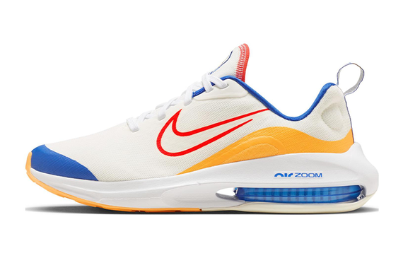 Nike Air Zoom Arcadia 2