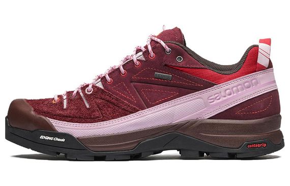 The Broken Arm SALOMON Sense Ride 4 X-Alpages GTX TBA
