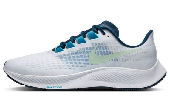 Nike Pegasus 37