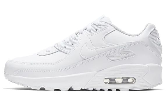 Nike Air Max 90 LTR