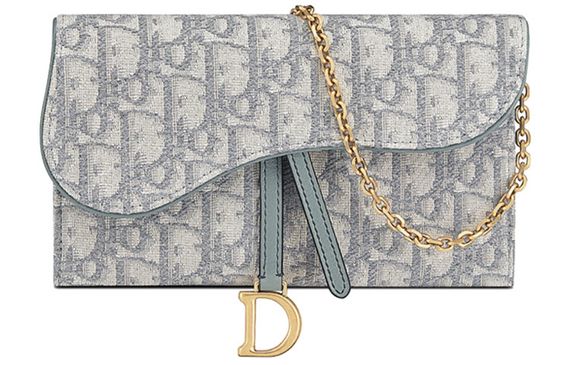 DIOR Saddle WOC
