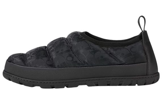 DIOR Snow