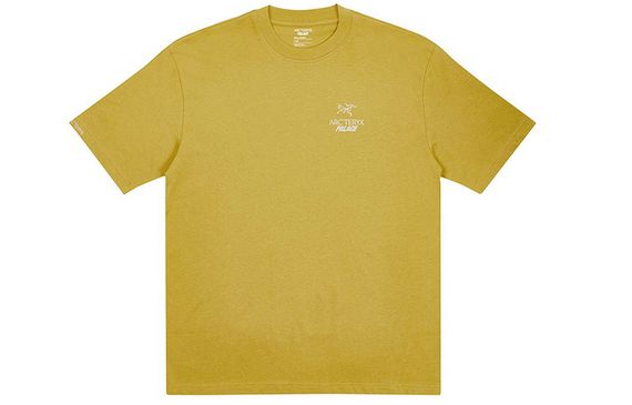 Arcteryx x PALACE PLACE ARC'TERYX Logo T