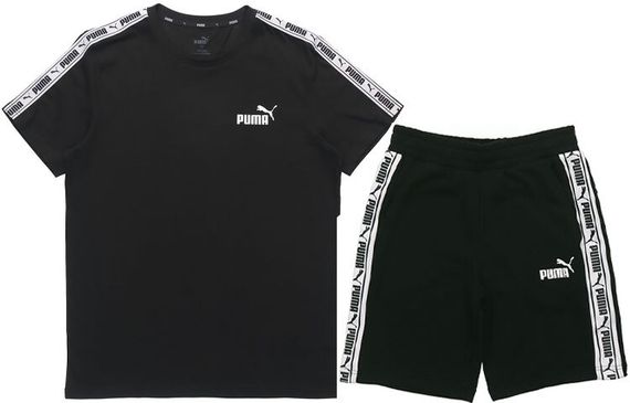 Puma T