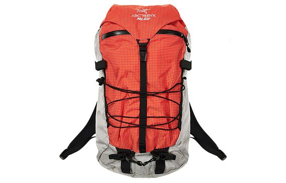 Arcteryx x PALACE