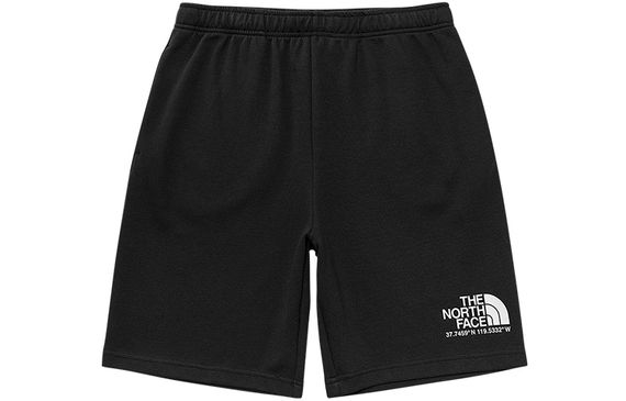THE NORTH FACE SS22 logo