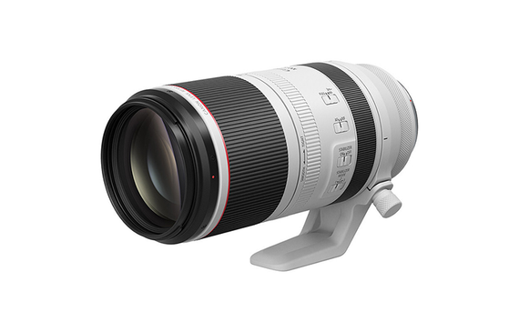 Canon RF100-500mm F4.5-7.1 L IS USM EOS R
