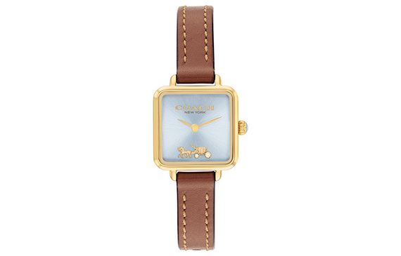 COACH CASS 14504231