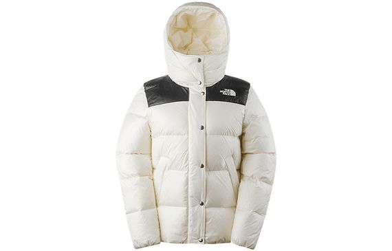 /THE NORTH FACE Logo 700
