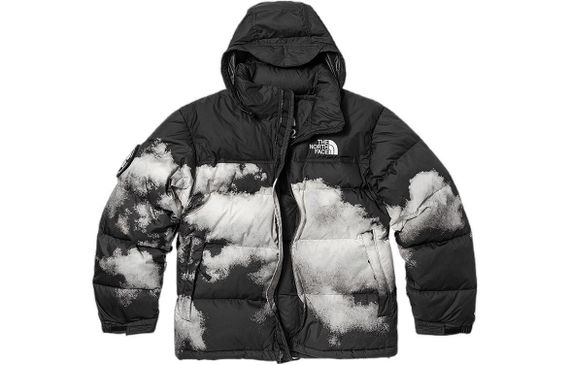 THE NORTH FACE Logo1992 30 700